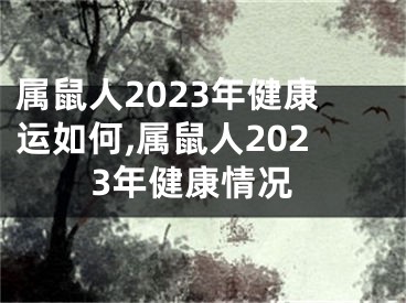 属鼠人2023年健康运如何,属鼠人2023年健康情况