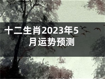 十二生肖2023年5月运势预测