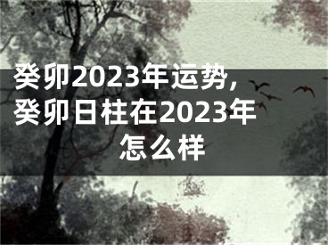 癸卯2023年运势,癸卯日柱在2023年怎么样