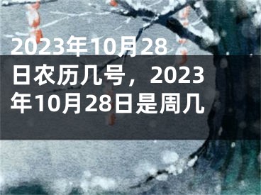 2023年10月28日农历几号，2023年10月28日是周几 