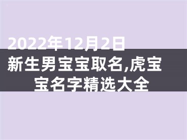 2022年12月2日新生男宝宝取名,虎宝宝名字精选大全