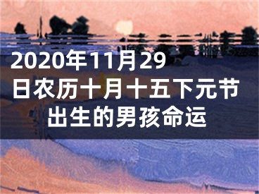 2020年11月29日农历十月十五下元节出生的男孩命运