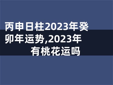丙申日柱2023年癸卯年运势,2023年有桃花运吗
