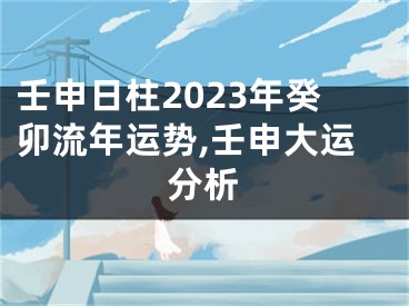 壬申日柱2023年癸卯流年运势,壬申大运分析