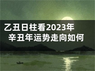 乙丑日柱看2023年辛丑年运势走向如何