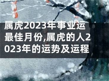 属虎2023年事业运最佳月份,属虎的人2023年的运势及运程